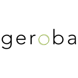 Geroba Set van 2 sleutels tbv Geroba brievenbussen